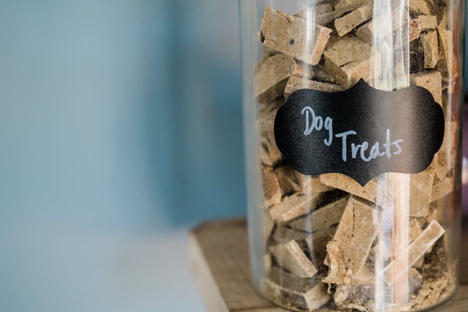 DIY Hypoallergenic Dog Treats: 10 Simple Homemade Recipes - Guide to hypoallergenic dog treats