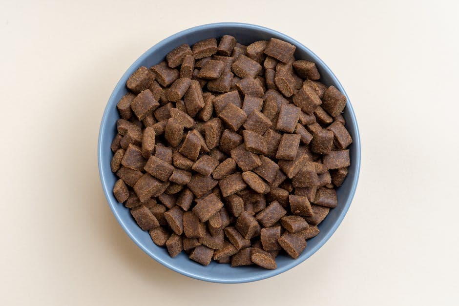 Best Protein Sources for Hypoallergenic Dog Treats - Guide to hypoallergenic dog treats